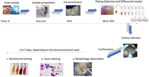 Biochemical Identification Of Microorganisms