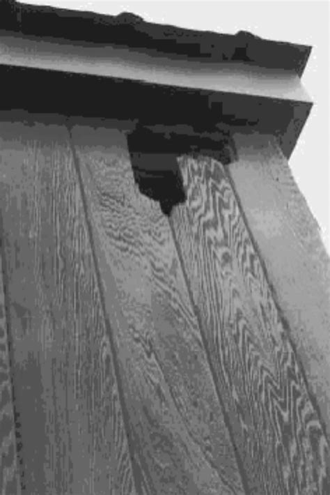 How To Stop Woodpeckers From Damaging Your Wood Siding