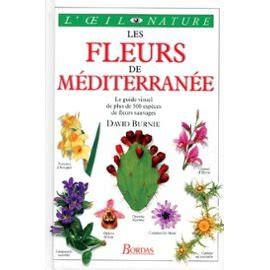 Les Fleurs De M Diterran E Le Guide Visuel De Plus De Esp Ces De