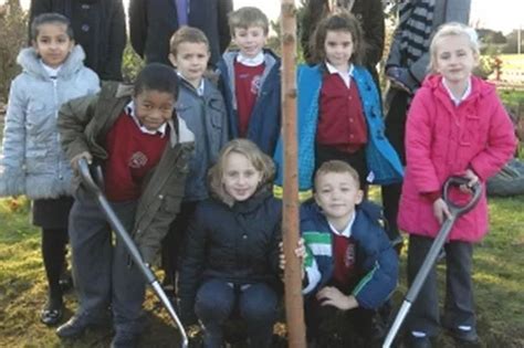 Green Fingered Children At Beechwood Primary Get Reading