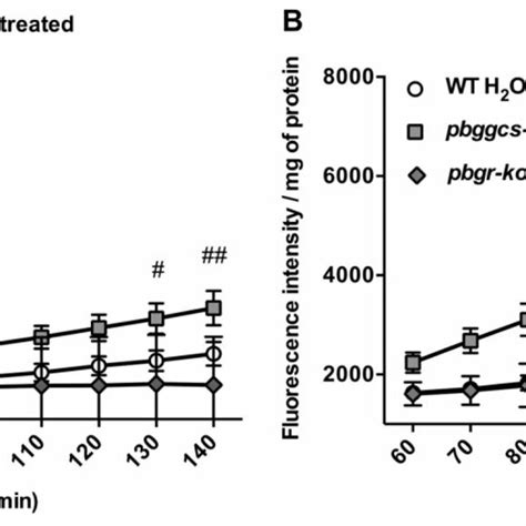 P Berghei Ggcs Ko Parasites Show Increased Levels Of Intracellular Download Scientific Diagram