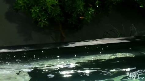 Hot And Wet Trans Jacuzzi Minutes