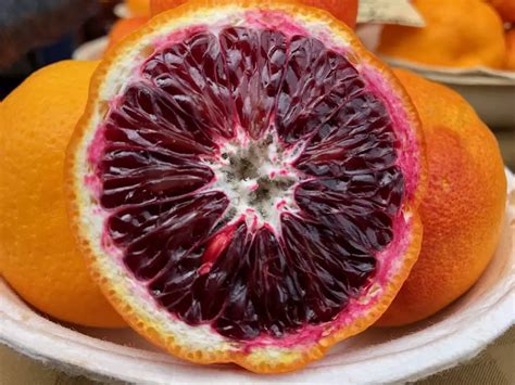 How To Grow Blood Oranges From Seeds Home Soils