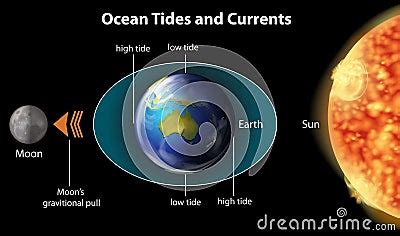 Ocean Tides And Currents Stock Vector Image 47266562