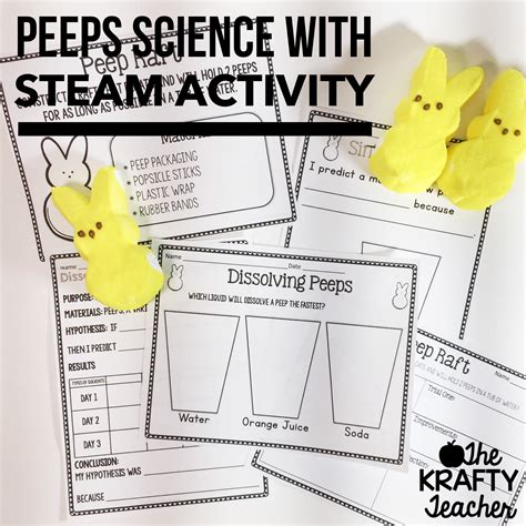 Peeps Spring Activities For Science And Stem Dissolving Peeps