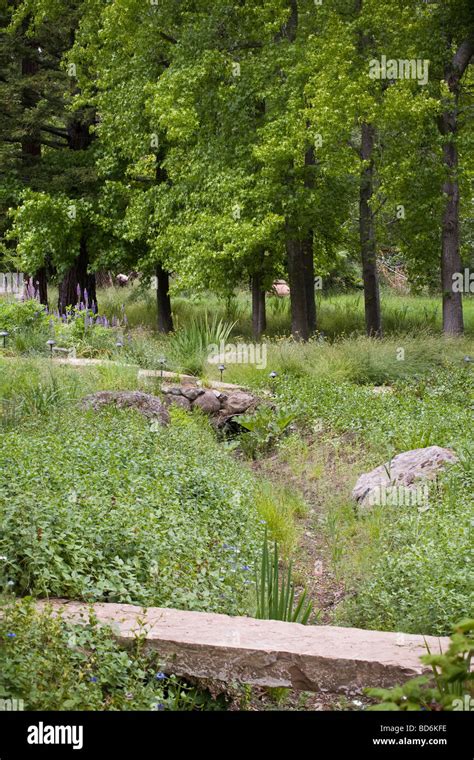 Drainage Swale Rain Garden In Back Yard Meadow Stock Photo Alamy