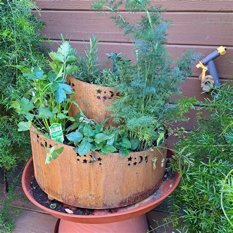 Herb Spiral Garden And Spiral Garden Planter Our Whimsical Stars Model
