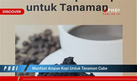 Ketahui Manfaat Ampas Kopi Untuk Tanaman Cabe Yang Wajib Kamu Intip