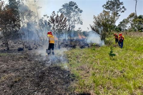 Incendios en Bolivia más de 40 mil hectáreas quemadas dentro del