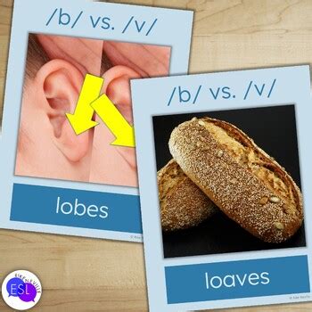 B V Minimal Pair FLASHCARDS For Adult ESL Pronunciation By Rike Neville