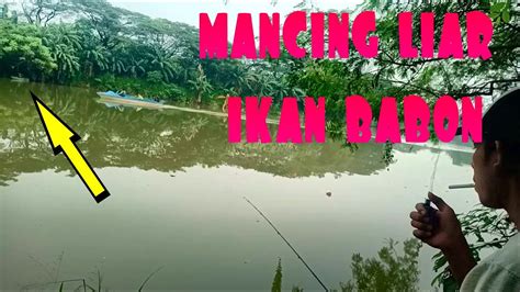 Mancing Ikan Liar Terbaru YouTube