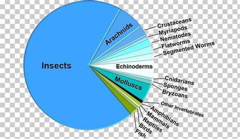 species diversity chart