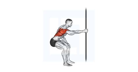 Barbell Bent Over Wide Grip Row Guide Benefits And Form