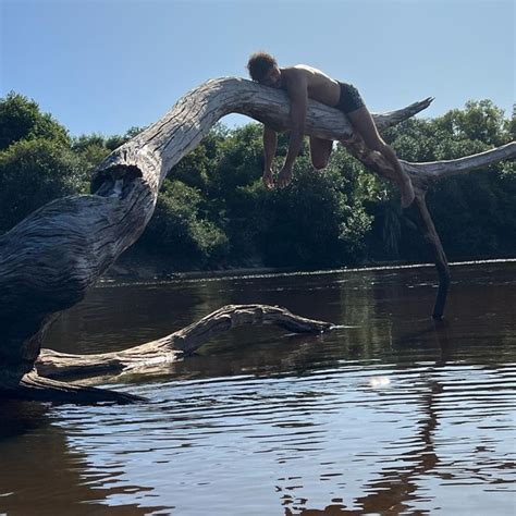 Guito O Tib Rio De Pantanal Posa No Rio Negro E Ganha Elogios