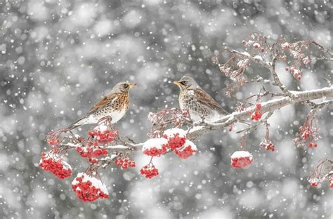 Le Foto Vincitrici Del Concorso Fotografare Il Parco Immagini