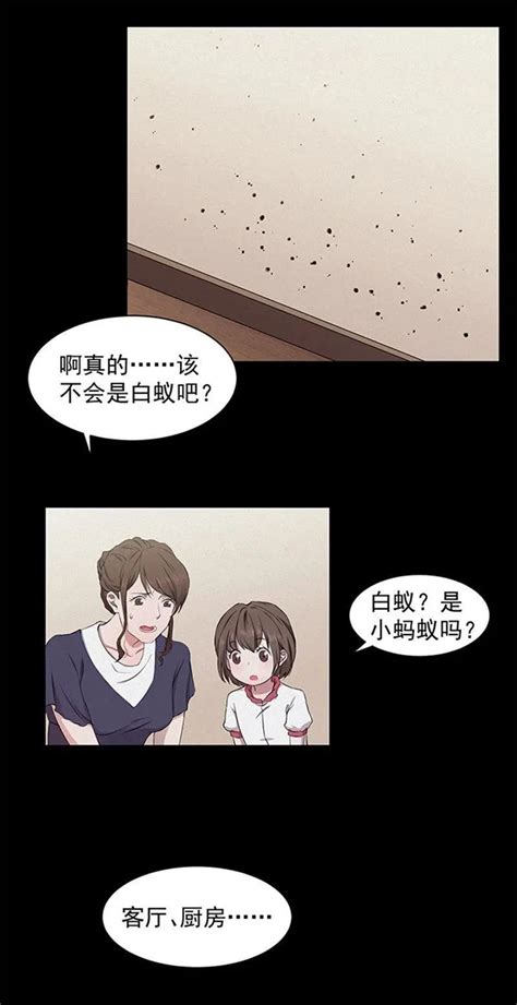 【密集】牆壁上出現密密麻麻的小孔洞，疑似是「白蟻」的傑作？！ 小濕妹情報 小濕妹情報