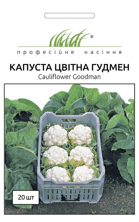 Капуста цвітна | Агросток