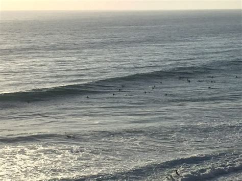 Surfing Encinitas Local Guide: Best Waves, Beers, & Bars - Go Surfing SD!