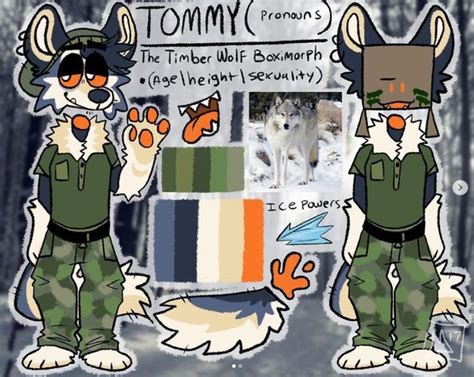 Tommy Ref Sheet Furry Art Furry Drawing Art Archive