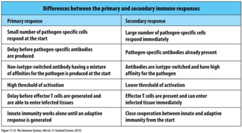 Immunology Tutorial Flashcards Quizlet