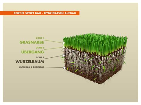 Hybridrasen Sportpl Tze Cordel Sportplatzbau Rasenplatz Naturrasen