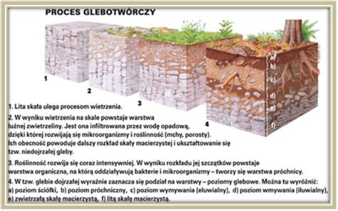 Blog Geografia W Szkole Materia Y Do Lekcji Gleby Polski