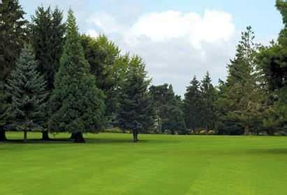 Rock Creek Country Club - Reviews & Course Info | GolfNow