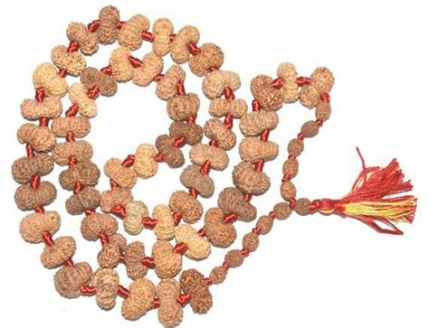 Rare Mukhi Rudraksha Mala Mahamrityunjaya Mala Mahakal Mala