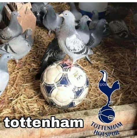 Tottenham Meme By Godking34yt Memedroid