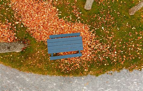 Best Picnic Table Overhead Stock Photos Pictures And Royalty Free Images