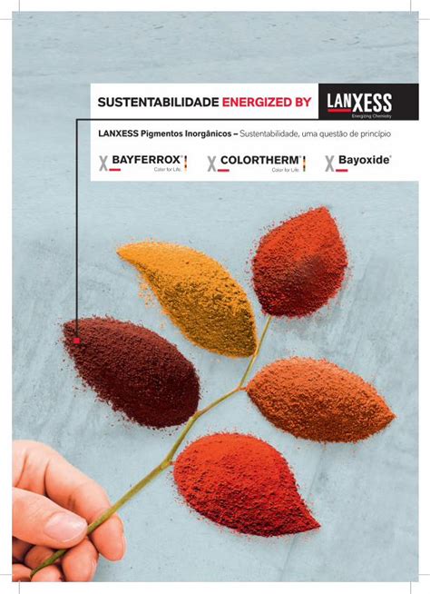 PDF LANXESS Pigmentos Inorgânicos exemplo foi desenvolvido um