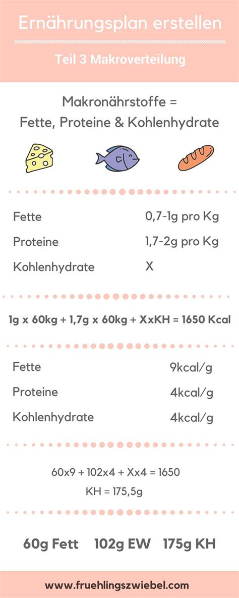 Ernährungsplan ganz einfach selber erstellen große Step by Step