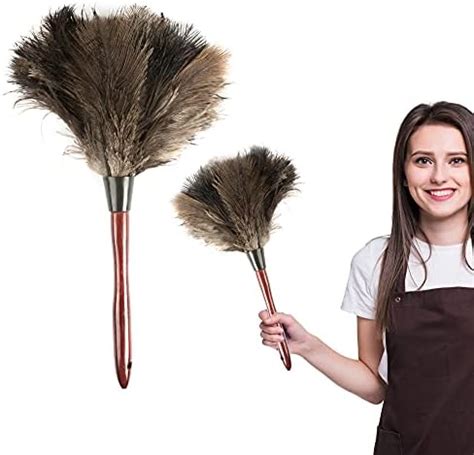 ROYAL DUSTER Black Ostrich Feather Duster 14 Amazon Ca Health