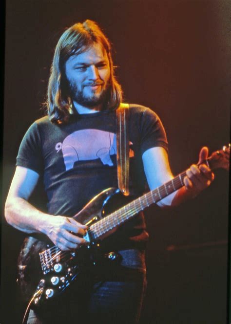 David Gilmour 1977, Animals tour : r/pinkfloyd