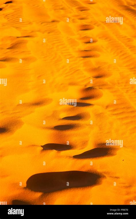 The Brown Sand Dune In The Sahara Morocco Desert Stock Photo Alamy