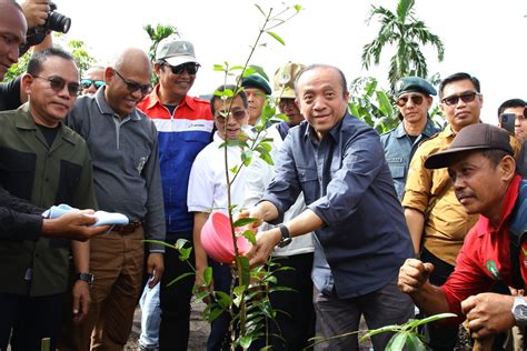 Ppid Kementrian Lingkungan Hidup Dan Kehutanan Bersama Masyarakat Klhk Tanam 1000 Pohon Di