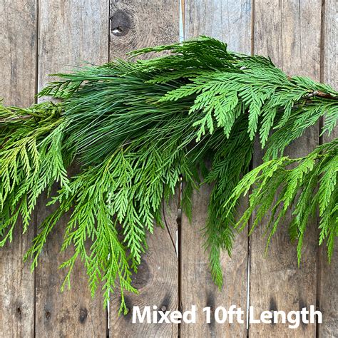 Christmas Greens Mixed Garland 10ft Fresh Greens Garlands And Branches Arts Nursery Garden