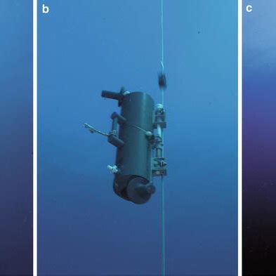 7.1 A Niskin bottle at sea. (a) Bottle positioned at the sampling ...