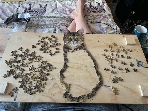 A difficult cat puzzle : Jigsawpuzzles