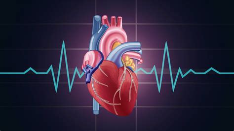 Demystifying Atrial Flutter Types Causes Symptoms Treatment And More Doctors Hub Nepal