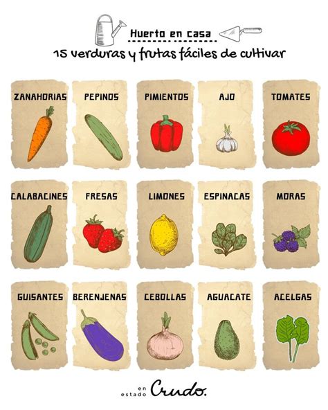 Verduras Y Frutas Que Puedes Cultivar En Casa F Cilmente Verduras