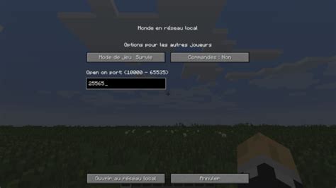 Comment Inviter Un Autre Joueur Sur Un Serveur Minecraft SOS