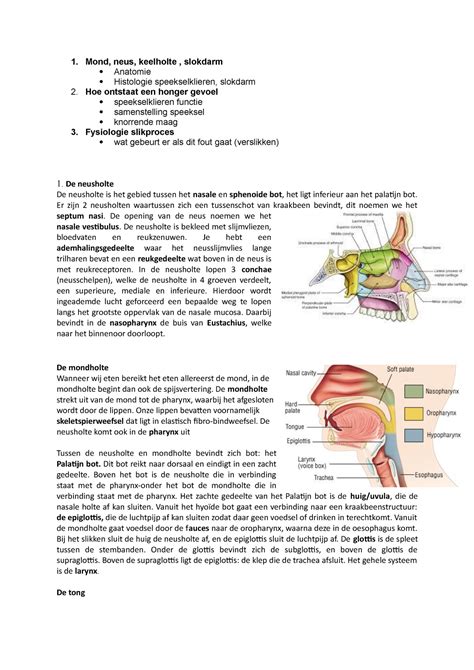 Verteer En Verweer Casus 1 1 Mond Neus Keelholte Slokdarm