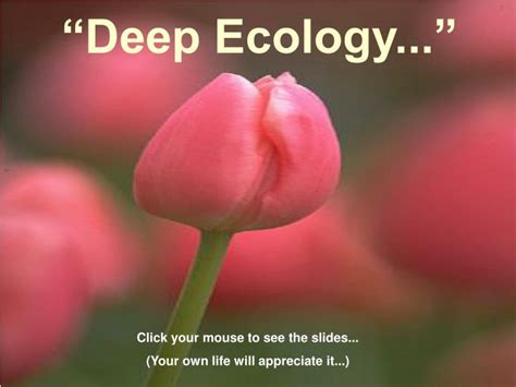 Ppt Deep Ecology” Powerpoint Presentation Free Download Id197675