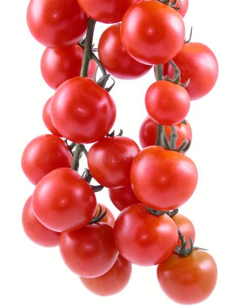 Cherry Tomatoes Stock Image Image Of Fresh Cherry Natural 1059277