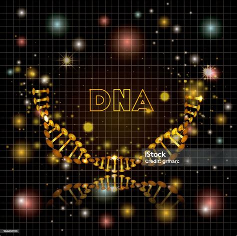 Dna 분자 반 원형 황금 구조 Dna에 대한 스톡 벡터 아트 및 기타 이미지 Dna 개념 건강관리와 의술 Istock