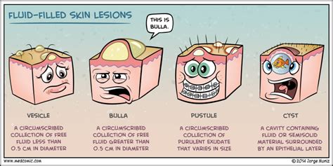 Skin Lesions Causes