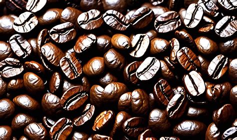 Freshly Roasted Coffee Beans Can Be Used As Background Coffee