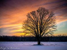 Winter Abides Owosso Michigan (clouds cold+snap sunrise+sunset winter sky trees ). Photo by ...