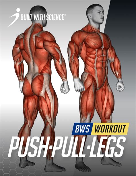 Bws Push Pull Legs Workout